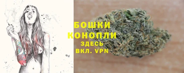 спиды Осташков