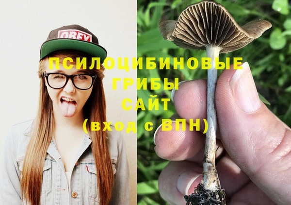 эйфоретик Осинники