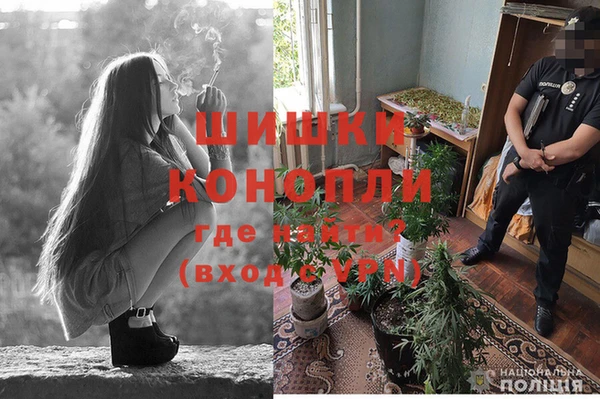 Альфа ПВП Остров