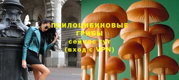 Альфа ПВП Остров